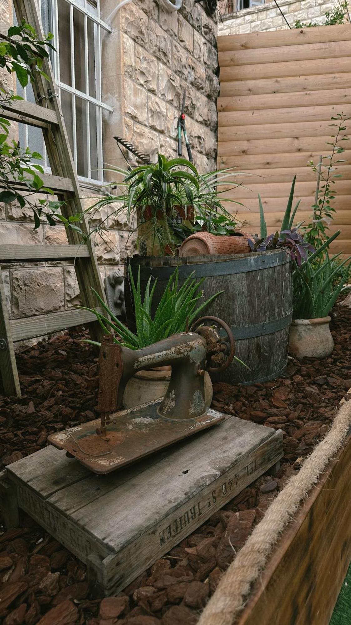 Dream House Art Hostel Garden And Terrace Haifa Esterno foto